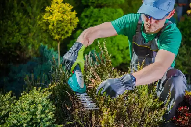 landscaping services New Sarpy